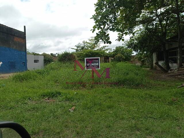 #493 - Terreno para Venda em Pontal do Paraná - PR - 1